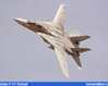 F-14 in volo ad ali spiegate sopra il CAF/Fina Airsho, Midland (Texas). Questa immagine s'ingrandisce in una nuova finestra