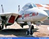 Vista ravvicinata di un F-14A al March Field Air Museum, Riverside (California). Questa immagine s'ingrandisce in una nuova finestra