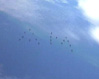 Allontanamento di una formazione di elicotteri che disegna nel cielo le iniziali AM dell'Aeronautica Militare. Questa immagine s'ingrandisce in una nuova finestra