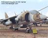 AV-8C Harrier parcheggiato visto frontalmente. Questa immagine s'ingrandisce in una nuova finestra